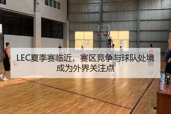LEC夏季赛临近，赛区竞争与球队处境成为外界关注点