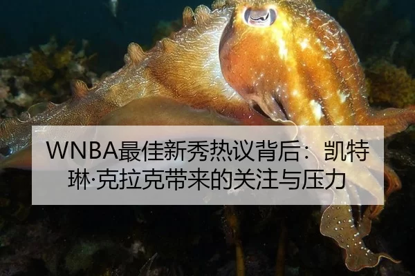 WNBA最佳新秀热议背后：凯特琳·克拉克带来的关注与压力